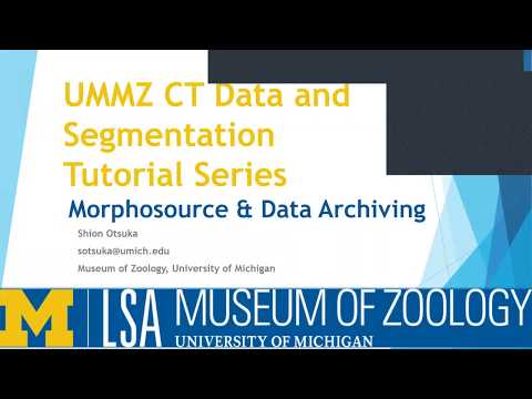 UMMZ CT Data & Segmentation Tutorial Series - Episode 4