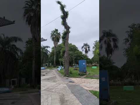 RESISTENCIA, CHACO, REPÚBLICA ARGENTINA. #flete #ciudad #lugares