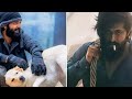 777 Charlie Trailer Release 2022 Rakshit Shetty Kiranraj K Hindi Trailer Movie 2022