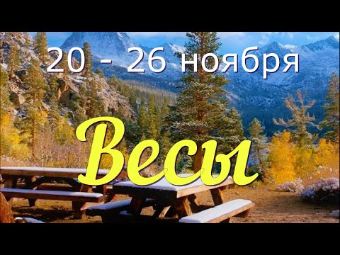 ВЕСЫ ♎️с 20 по 26 ноября.