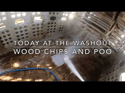 Wood chips and poo! (Cattle Washout ASMR Ep. 33