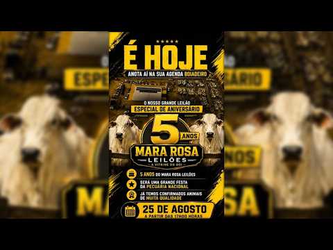 MARA ROSA LEILÕES - GOIÁS - LEILÃO ESPECIAL DE GADO DE CORTE 25/08/2026
