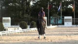 Video koně neznámé