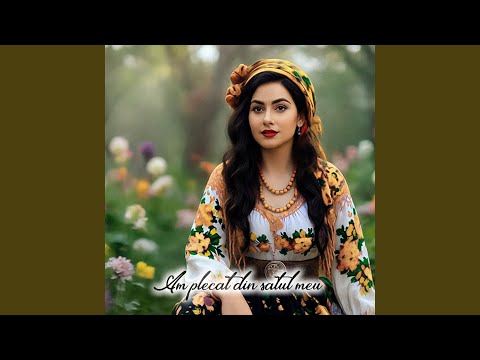 Am Plecat Din Satul Meu