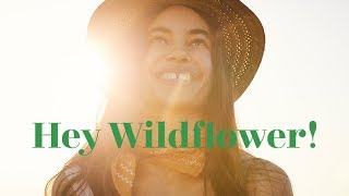  Hey Wildflower!