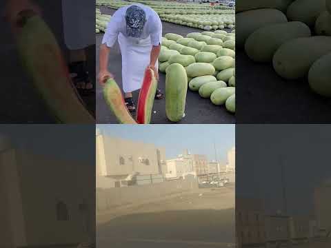 3 June 2025 Saudi Arab ka tarbuj #youtubeshorts # fruit 🍑🍓#abhirajvishwakarma