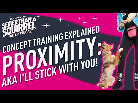 Concept Training Explained: Proximity