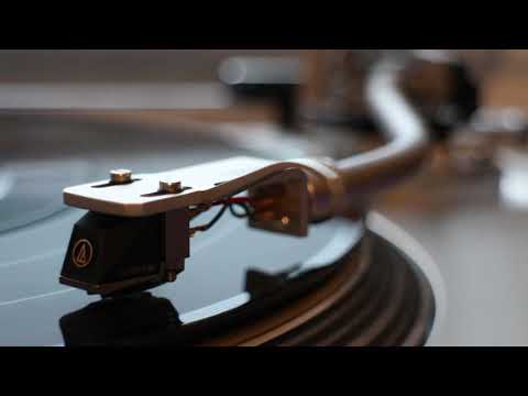 Bjork - Isobel (1995 HQ Vinyl Rip) - Technics 1200G / Audio Technica ART9