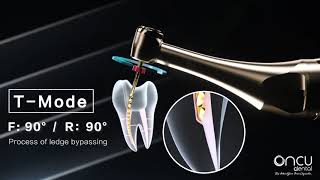 Woodpecker Endo Motor Model Ai  Dr Yoshi Terauchi Special Edition