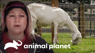 Thumbnail del capítulo