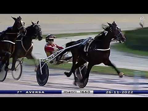 Aversa trotto 26 Novembre 2022 - 7° Corsa