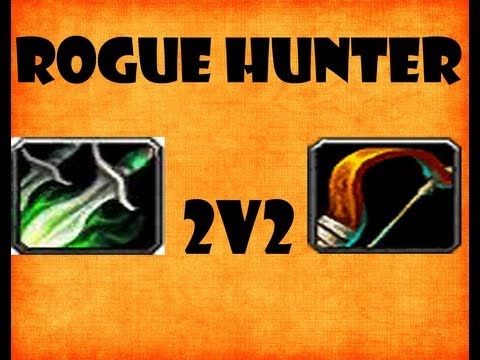 90 BM Hunter PvP- Rogue Hunter 2v2- World of Warcraft Arena