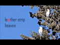 Leather Strip - Heaven 