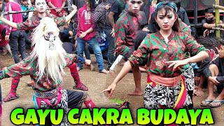 Download lagu MENDEMAN GAYU CAKRA BUDAYA BERSAMA INCES POPI mp3
