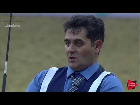 N.148 MAGIDAAS PREVUE RCA - 2019 Qatar Nat. Peninsula show - Mares 7-10 Years Old (Class 8) .mp4