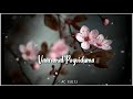 Bombay Uyire Uyire Song Whatsapp Status Bombay Movie WhatsApp Status