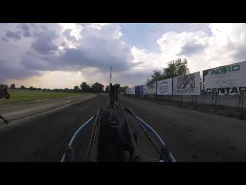 Subotica 2016.06.26 trka do 10000eu. PERFEKT I.mesto 1:16.0