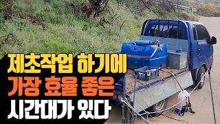 제초작업 하기에 가장 효율 좋은 시간대가 있다 | 나무대장?…