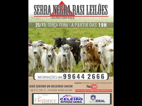 LEILÃO  SERRA NEGRA RASI LEILÕES - PIRACANJUBA - GO | 25 DE NOVEMBRO DE 2025