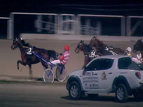 Trotto 17/02/2019 - 7ª corsa TRIS