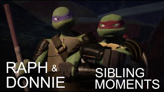 Raph and Donnie being siblings for 14 minutes stra