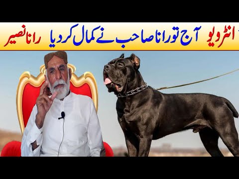 Interview of Top of Pakistan Dog Lover of Rana Naseer Pakistani Bully Kutta Lover Rana Naseer