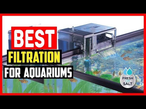 ✅The 5 Best Filtration Systems for Aquariums of 2025