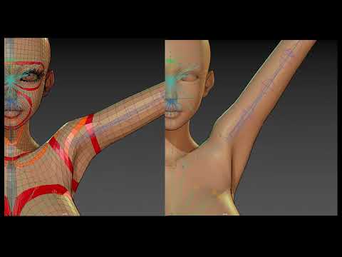 Base Mesh Shoulder Topology & extreme deformation Test