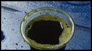 На прилавках магазинов предприятия Белореченское появится рапсовое масло