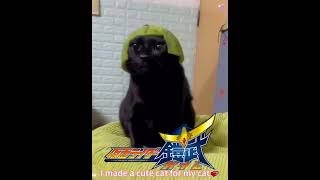 仮面にゃいだー鎧武 op #cat #kamenrider #仮面ライダー #ねこ