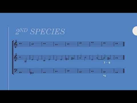 3-Part Counterpoint: 2nd Species