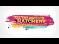 IHatch Short Description