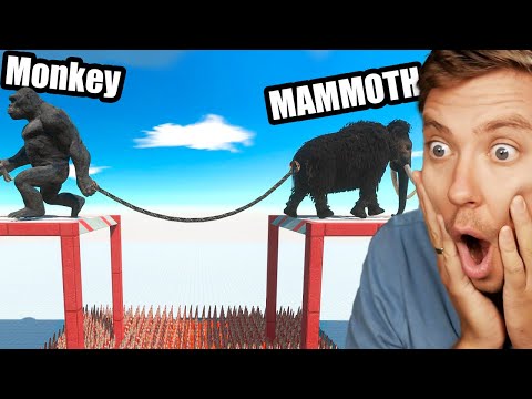 Reacting To Primates vs Mammals Tug of War!!!!!