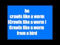 The Bird And The Worm By The Used, With ...