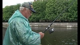 Сроки рыбной ловли в калининградской области