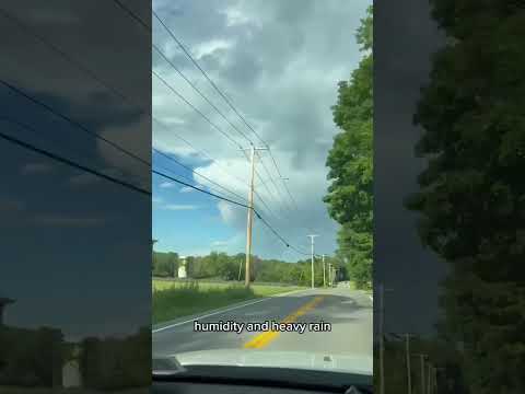 August Weather Report
