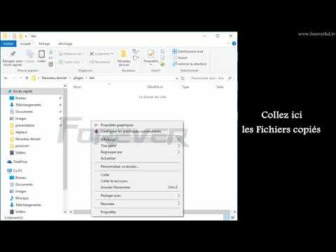 Installation des plugins sur le FOREVER