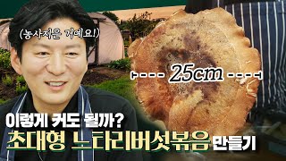 살면서 이렇게 큰 버섯 보셨나요? 지름만 25cm 느타리버섯 굽기