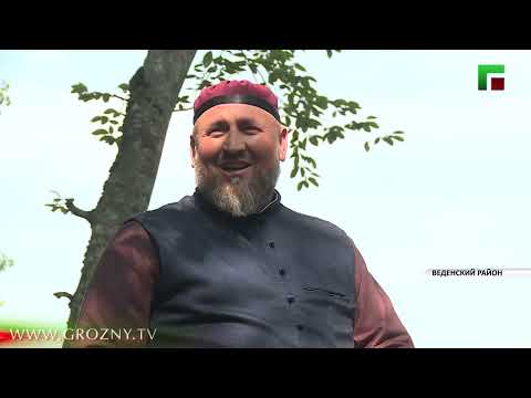 В Веденском районе прошел масштабный конный поход