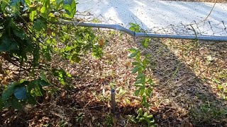 How I repaired my chain link fence