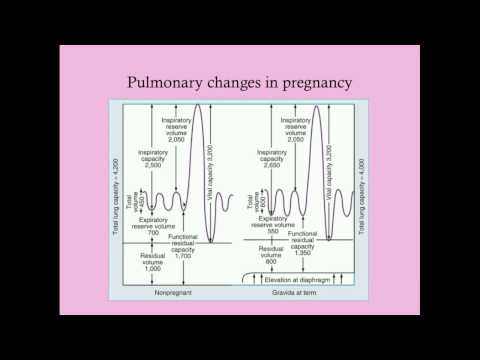 Basic Physiology of Pregnancy - CRASH! Medical Review Series