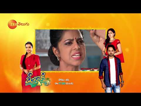 Raktha Sambandham - Telugu Tv Serial - Webisode - 324 - Meghana lokesh,Jyothi reddy - Zee Telugu