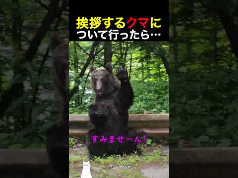 挨拶するクマについて行ったら…