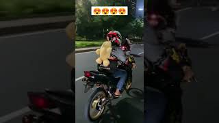 Download lagu STORY'WA NINJA RR NEW 😍#shorts mp3