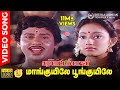 Maankuyile Poonkuyile HD Video Song 5 1 Audio Folk Version Ramarajan Kanaka Ilaiyaraaja