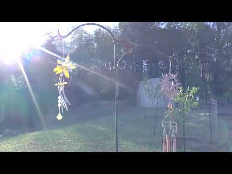 Flâner Deleted Scenes