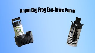 Anjon Big Frog Eco Drive Pump