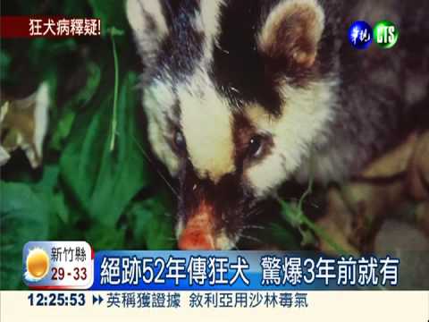 狂犬病鼬獾! 驚爆3年前早發現