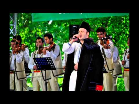 Alin Trocan   S a facut lelea cucoana