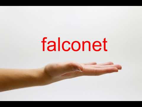 How to Pronounce falconet - American English